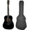 Aria FST-300 With Case Black