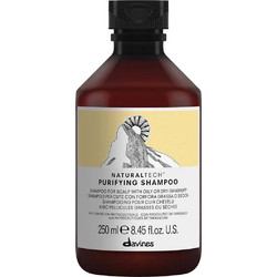 Davines Natural Tech Purifying Σαμπουάν κατά της Ξηροδερμίας & της Πιτυρίδας 250ml