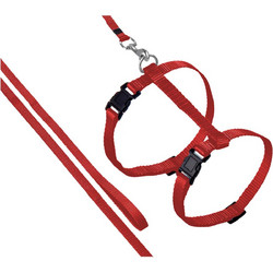 Σέτ Σαμαράκι + Οδηγός Κόκκινο 22 - 36cm