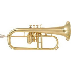 Amati AFH-201-O SibΚωδικός: 38142939