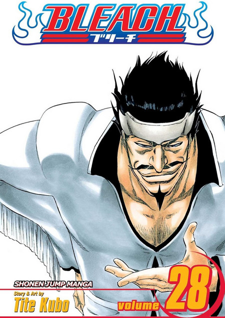 Bleach, Vol. 28