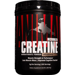Universal Nutrition Creatine Micronized 500gr