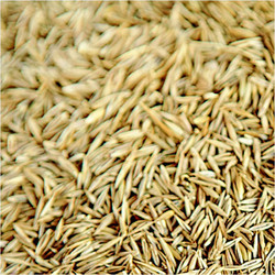 Farma Αγκάθι Τροφή για Πτηνά 1kg χύμα