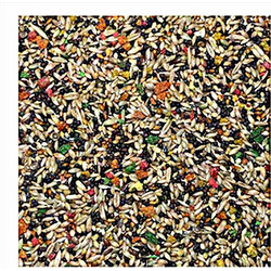 Farma Κελαϊδίνη Special Τροφή για Καναρίνια 1kg χύμα
