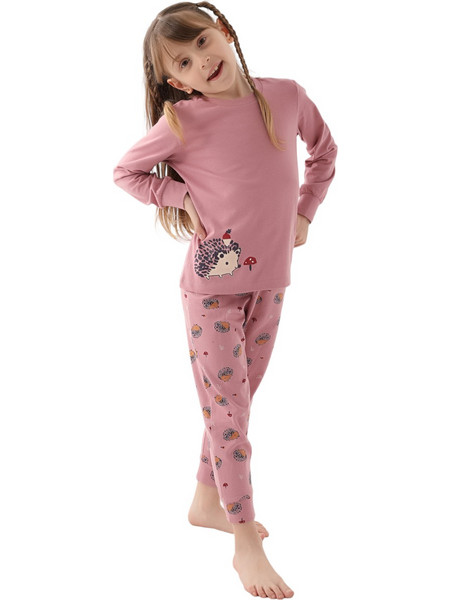 Πιτζάμα εφηβική Arnetta Hedgehog Girl AR2610G-Σάπιο Μήλο