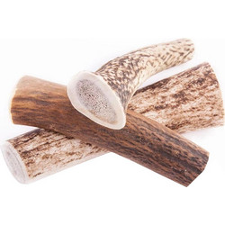Antler Chew L Hard 15cm 70gr