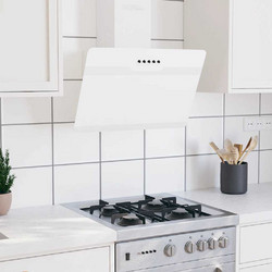 vidaXL 51668 Απορροφητήρας Καμινάδα-Τζάκι 60cm Λευκός