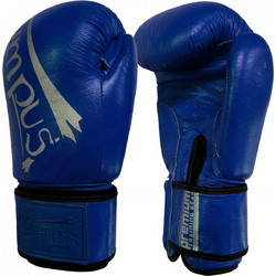 Olympus Training IV PU Blue