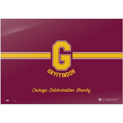 Σουμέν HARRY POTTER Gryffindor