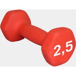MotivationPro Αλτήρας-Βαράκι 2,5kg Με Ανατομική Λαβή Κόκκινη