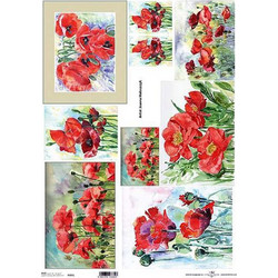 443377 ΡΙΖΟΧΑΡΤΟ POPPIES 42X29.7ΕΚ. (ITD-R085L) ΠΑΚ