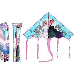 Αετός Frozen 100x56cm Disney 8032780958044