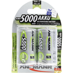 Ansmann D 5000mAh 12τμχ