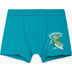 Παιδικό Boxer Surf Dino Βαμβακερό Minerva 90-42569 ΤΥΡΚΟΥΑΖ