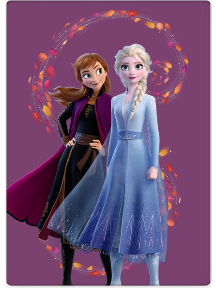 Disney Frozen Wind 014176 Κουβέρτα Fleece 100x140 Μωβ