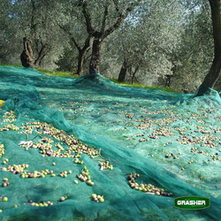 Grasher 101988 Ελαιόδιχτο 6x10m 90gr/m²