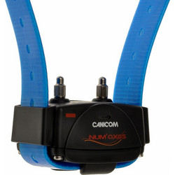 Num'axes Canicom Receiver 200/800/1500 Blue Num'axes