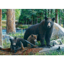 Puzzle Eurographics New Discoveries by Daniel Kevin 1000 Κομμάτια