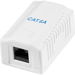 Cat.6A Surface Mounted Box 1 x RJ45, unshielded (LL-NP0100)