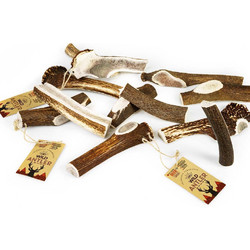 Celebrate Freshness Κέρατο Ελαφιού Wild Antler Medium 50-80gr