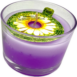 Lion Αρωματικό Κερί Citronella