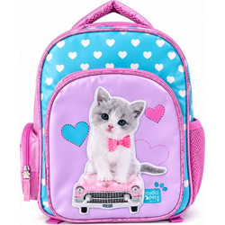 Paxos Studio Pets Kitty Cute 102444