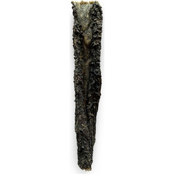 Vadigran Butcher Natural Πατσάς Καμήλας Λιχουδιά Σκύλου 20gr