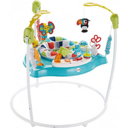 Fisher-Price Colour Climbers Jumperoo