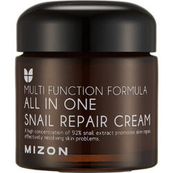 Mizon All In One Snail Repair Cream 75ml