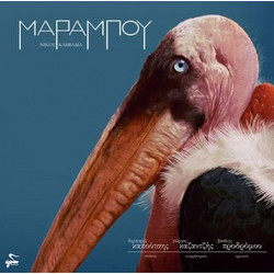 ΔΗΜΗΤΡΗΣ ΚΑΠΟΥΤΣΗΣ / ΜΑΡΑΜΠΟΥ - LP 10''
