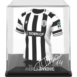 Myjersey Paok Andrija Zivkovic Home 25/26 53my00011