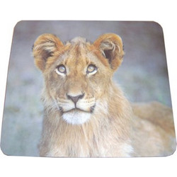 Mousepad Lion Theme Coloured MP-11