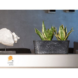 Ζαρντινιέρα μικρή Lily Natura No 665.5-95 30x12x11cm Citrine