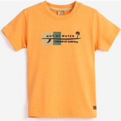 Funky Παιδικό T-Shirt Κοντομάνικο Πορτοκαλί 124-305104-1