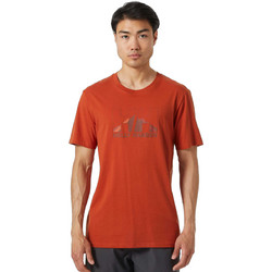 Helly Hansen Nord Graphic T-Shirt Ανδρικό Αθλητικό T-Shirt Rusted 62978-308