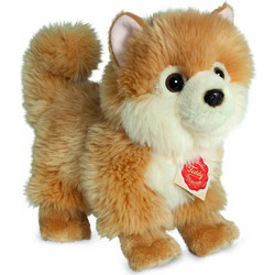 Hermann Teddy Σκύλος Pomeranian 919223