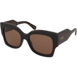 Chloe CH0252S 002 Γυναικεία Γυαλιά Ηλίου Τετράγωνα Κοκάλινα Καφέ με Καφέ Φακό