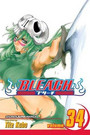 Bleach, Vol. 34 Bleach, Vol. 34