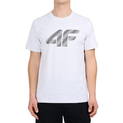 4F Ανδρικό Αθλητικό T-Shirt Λευκό 4FWMM00TTSHM3342-27M