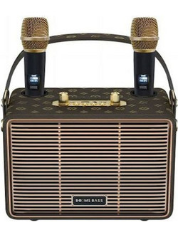 HJ-4202+.BRO Σύστημα Καραόκε με Ασύρματο Μικρόφωνο Καφέ