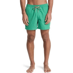 Quiksilver Everyday Solid Volley 15'' Ανδρικό Μαγιό Σορτς Πράσινο EQYJV04120-GNZ0