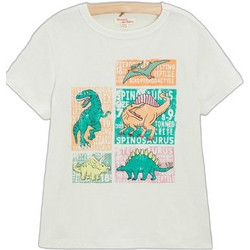 Dpam Παιδικό T-Shirt Κοντομάνικο Μπεζ 24S902N1TMC