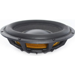 Peerless 830 481 Woofer Ηχείου 10"