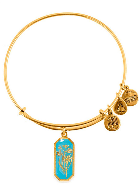 Alex and Ani Γυναικείο Βραχιόλι Βέργα Xρυσό A14EB91YG