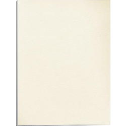 Χαρτονάκι Α4 δέρμα 250gr 1φ ivory