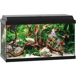 Juwel Aquarium Primo 60 Ενυδρείο Ψαριών με Φωτισμό, Θερμαντήρα & Κυκλοφορητή 57lt Μαύρο