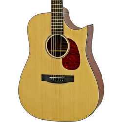 Aria 111 Cutaway Matte Natural