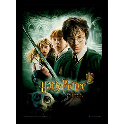 Harry Potter (Chamber Of Secrets) Wooden Framed 30 x 40cm Print - FP10684P