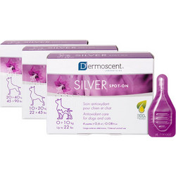 Dermoscent SILVER spot-on 10-20 kg 4X1,2 ml