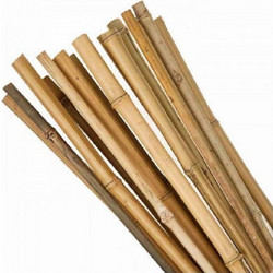 SHOWOOD Ιστός Bamboo O3-3.5 x 300cm (21437)